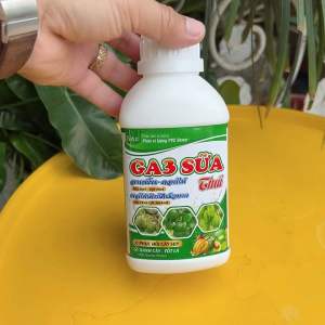 PHÂN BÓN GA3 SỮA THÁI - XANH CÂY TỐT LÁ BUNG ĐỌT NHANH PHỤC HỒI CÂY SUY YẾU.