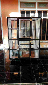 Kandang Kucing Aluminium 2 Kamar Menyambung Ukuran 90x60x120