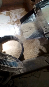 DI JAMIN PULEN BERAS ROJOLELE SUPER GARUT PULEN DAN WANGI(cocok untuk di konsumsi setiap hari)