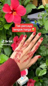 Sticker Inai Lawa Terkini Viral Hot 2024 (1 set sticker )