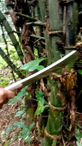 coper tebas tebas berkebun alat serbaguna