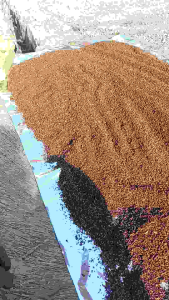 cengkeh bubuk siap pakai/kg