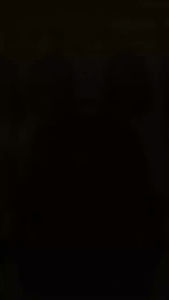 POLOMI BACKPACK FASHION - BLACK 17INCH