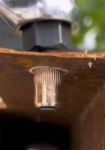 Ốc Tán Rút Ecu rút M3 (100 con) M4 (100 con) M5 (100 con) M6 (100 con) M8 (100 con) M10 (100 con) M12 (100 con)