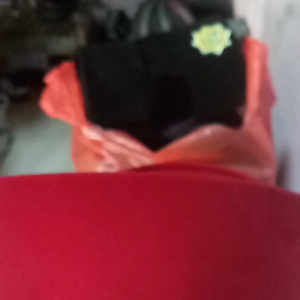 Pecinya: Aksesoris Pakaian Tradisional Klasik