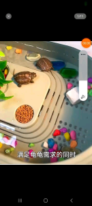 Turtle Tortoise Tank 高颜值乌龟缸 Aquarium Tank Reptile Tank 爬虫缸