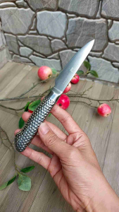 DAO GỌT HOA QUẢ DAO GỌT TRÁI CÂY HÀNG ĐỨC DÀI 19CM CÁN THÉP