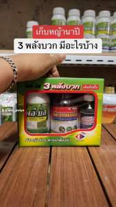 3 พลังบวก กำจัดหญ้าในนาข้าว โพลี-บีส สำหรับนาปี