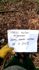 Madu Hutan Liar Apis Dorsata Asli Tanpa Campuran
