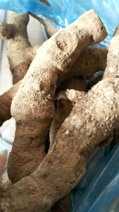 1kg củ tứn khửn tốt cho phái mạnh
