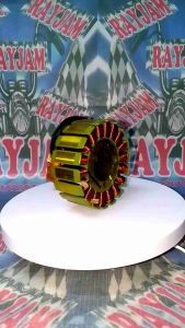 Stator Assembly Rouser RS200 Genuine DT351008