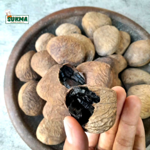 Kluwek Fresh 500 gram Tua Matang Siap Olah / Kluwak Keluak Jawa Bumbu Rawon - Rempah Bumbu Dapur
