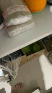 ( 6pcs )Piring Kecil Melamin Kotak 15cm SINGASINGI Tebal Anti Pecah Tatakan Kue Gelas Dessert Estetik