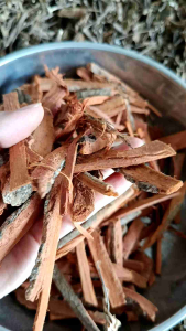 1kg Vỏ Cây Gáo Vàng - phơi khô