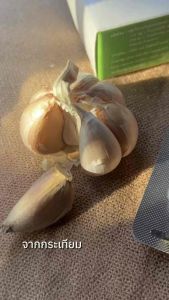 Garlic oil น้ำมันกระเทียม ตราดอกคำใต้ 1 กล่อง 20 แคปซูล (สินค้าโอทอปและงานวิจัยรับรอง)