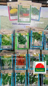 เมล็ดผัก เจียไต๋ ผ้ายอดนิยม ผู้ชาย คะน้า กะเพรา กระเพรา กดผู้ชาย ชุดส่วนติดต่อ ผู้ชาย กะหล่ำปลี ฟักทอง ผักชี แตงกวา โหราพา กวางตู้ ต้นอ่อนทานตะวัน ผักซอง