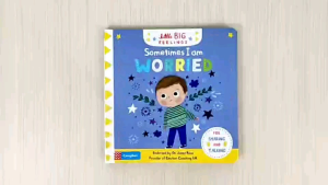Campbell Little Big Feelings Sometimes I Am Worried Board Book