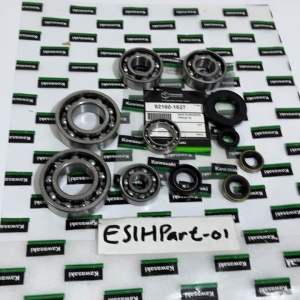 Bearing laher rasio 6 item plus seal komplit Kawasaki KLX 150
