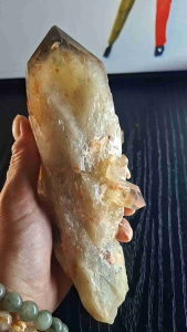 Natural Citrine Skeleton wealth attraction collection stand included