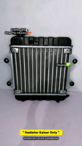 Radiator kaisar 250cc (Only) (60F) Sparepart Roda3