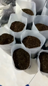 Pupuk Kompos Organik 8Liter - Media Tanam Siap Pakai