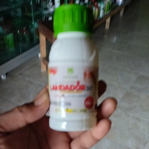 Insektisida Lamdador 50EC 100ml