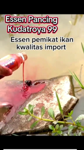 Biang Essen 𝗦𝗜𝗝𝗔𝗟𝗔𝗞 𝗛𝗔𝗟𝗨𝗣𝗔𝗧 𝟭𝟬𝟭 𝗔𝗡𝗧𝗜 𝗭𝗢𝗡𝗞 𝗣𝗜𝗟𝗜𝗛𝗔𝗡 𝗣𝗔𝗥𝗔 𝗝𝗨𝗔𝗥𝗔 𝗨𝗻𝘁𝘂𝗸 𝗦𝗲𝗴𝗮𝗹𝗮 𝗝𝗲𝗻𝗶𝘀 𝗜𝗸𝗮𝗻 𝗔𝗶𝗿 𝗧𝗮𝘄𝗮𝗿