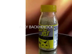 Vitamin Penggemuk dan Bulu Kucing Penumbuh Bulu Kucing Pelebat Bulu Obat Bulu Kucing Rontok CUTE FAT