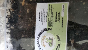 Media Tanam Tahan Panas: Pilihan Terbaik untuk Tanaman Sekulen, Haworthia & Kaktus