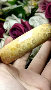 High Quality full flower Coral Stone bangle 58mm 高货满花 珊瑚玉 手镯 58mm