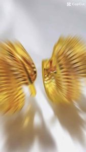 ZIHANG JEWELRY 24K Thailand gold plated Korean style plain clip earrings for women