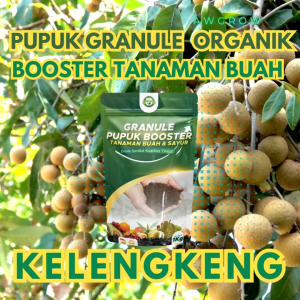Pupuk Booster Kelengkeng Pupuk Padat tabur 1kg/ Pelebat Buah Kelengkeng / Penyubur Tanama Kelengkeng