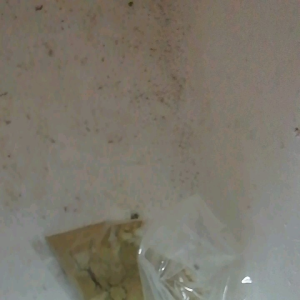 ปลาช่อนป่นละเอียดพร้อมทาน50g.