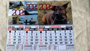 Tokoys Wall Calendars