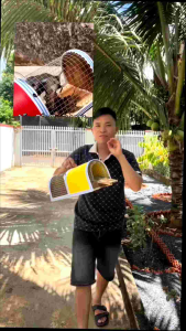 Bẫy chuột thông minh 2 cửa (1cửa vào1cửa bắt)