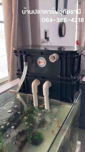 คอนโดจิ๋วครบชุด ระบบกรองน้ำใส (เหมาะสำหรับตู้ปลา 20 - 24 นิ้ว)