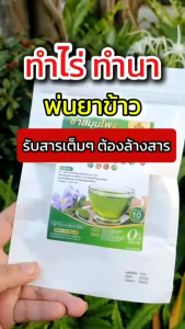 🌱ชารางจืด ทองหลวง ล้างสาร ดื่มได้ทุกวัน ของเเท้🌱