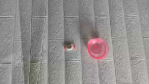 Compressed Beauty Face Mask Tablets Compact Individually Packed Travel Sized with Storage Bag with Zipper DIY Everyday Masks