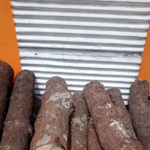 Stik Kayu Lemo Pengusir Ular Satu Batang Panjang 25 Cm