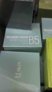 Replace ginseng skin mq skin version 1. (original 100%)