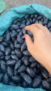Trám đen rừng ỏm tách hạt vừa ăn hộp 500g