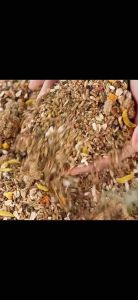 R & M Love Bird & Cockatiel Food 771.8g (Fruits & Egg Combo) Burung Love Bird Food For Small To Medium Love Bird R&M