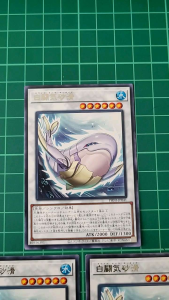 YUGIOH Japanese PHNI-JP041 白闘気砂滑 White Aura Porpoise (R) NEAR MINT 97%