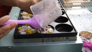 เตาโอปันยากิ เตาขนมบ้าบิ่น แพนเค้ก แบบใช้แก๊สงานผลิตเองในไทย รับประกันสินค้า 1 ปีเต็มแถมฟรีปืนจุดแก๊ส ขายาง ผ้าเช็ดเตา