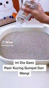 Paket Murah 12 Liter Pasir Kucing Gumpal Wangi YUKI CAT SAND Anti Bakteri Free Kalung Kucing Lucu