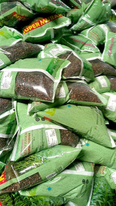 Permata Baru Benih Kangkung Super Murah 1kg Daun Sedang