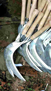 ARIT/SABIT SUPER TAJAM CAP LASTIKA WANA