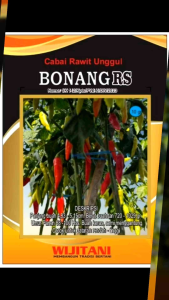 Cabe BONANG RS wijitani Benih Cabai Rawit seed kemasan 10 gram