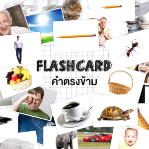 แฟลชการ์ดคำตรงข้าม Flash Card Opposite word จำนวน 25 ใบ ขนาด A5 KP073 แฟลชการ์ด คำตรงข้าม 2WinBookToys