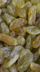 ลูกเกดอบแห้งสีเหลืองทอง เกรด A เอเอ ขนาดเล็กอร่อยรสชาติหวานซ่อนเปรี้ยวอร่อยดีค่ะทานเพลินมาก